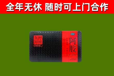 晋安回收阿胶